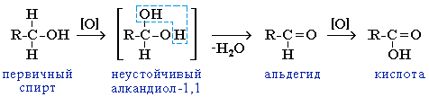 o25131