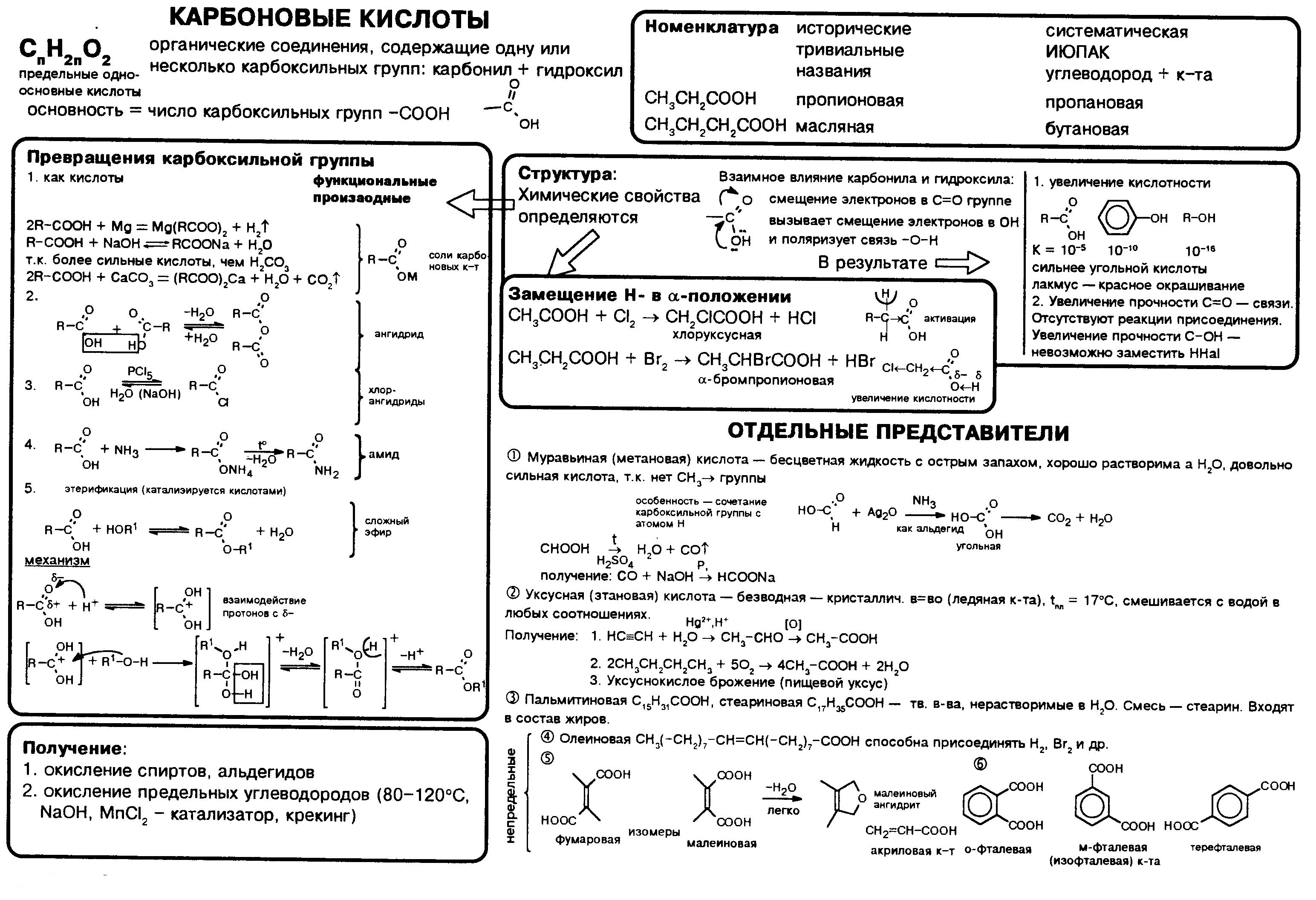 karbonovye-kisloty-nomenklatura-poluchenie-svojstva